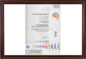 ISO9001环境认证