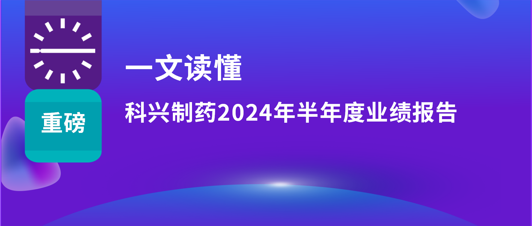 一文读懂 | 上半年营收利润双增长，海外销售同比增长33%